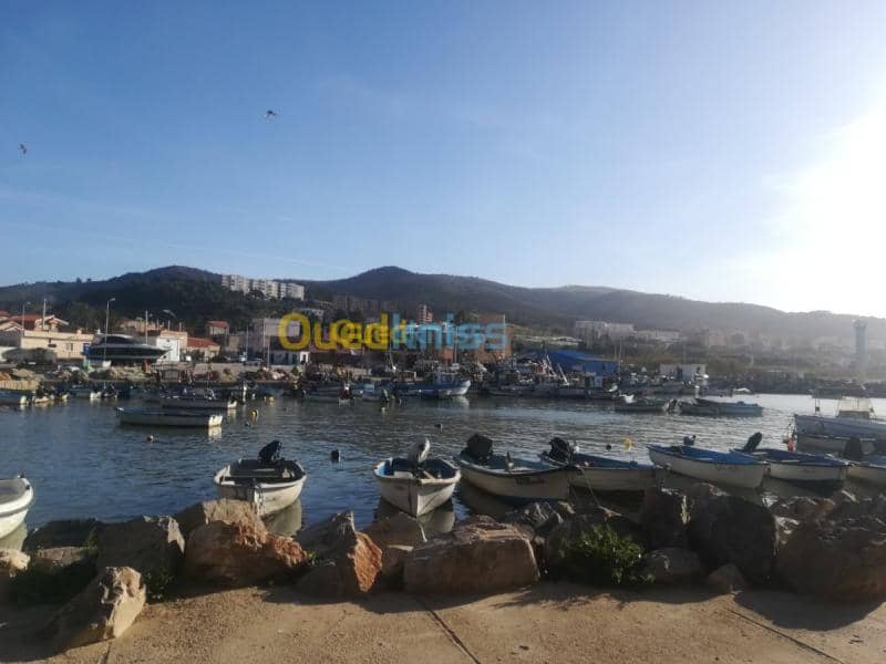 Vente Appartement F4 Chlef Beni haoua 5