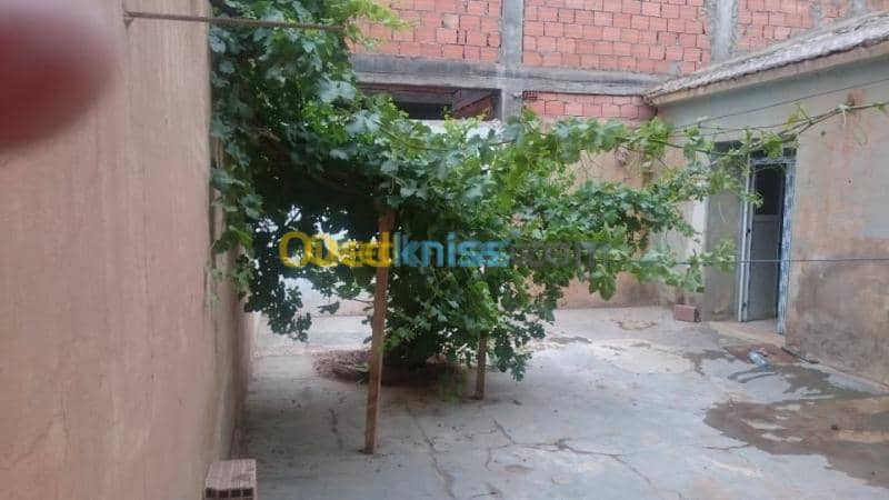 Vente Villa El bayadh El bayadh 7