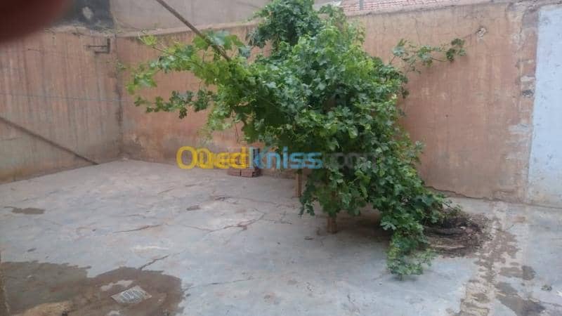 Vente Villa El bayadh El bayadh 8