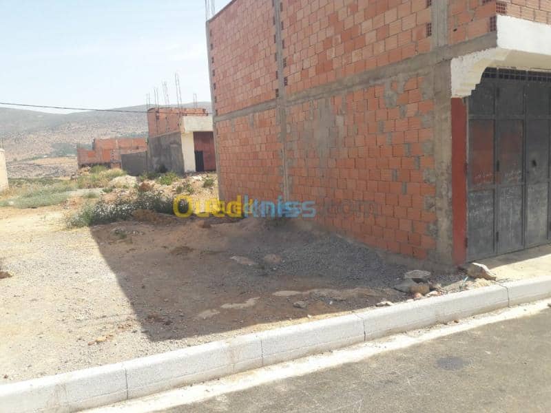 Vente Terrain Tlemcen Beni bahdel 9