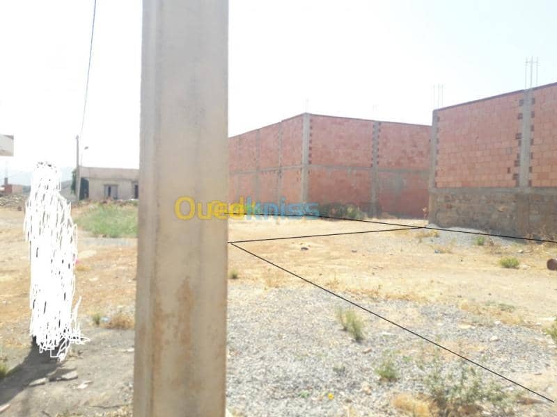 Vente Terrain Tlemcen Beni bahdel 10
