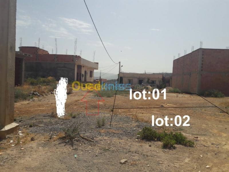 Vente Terrain Tlemcen Beni bahdel 12