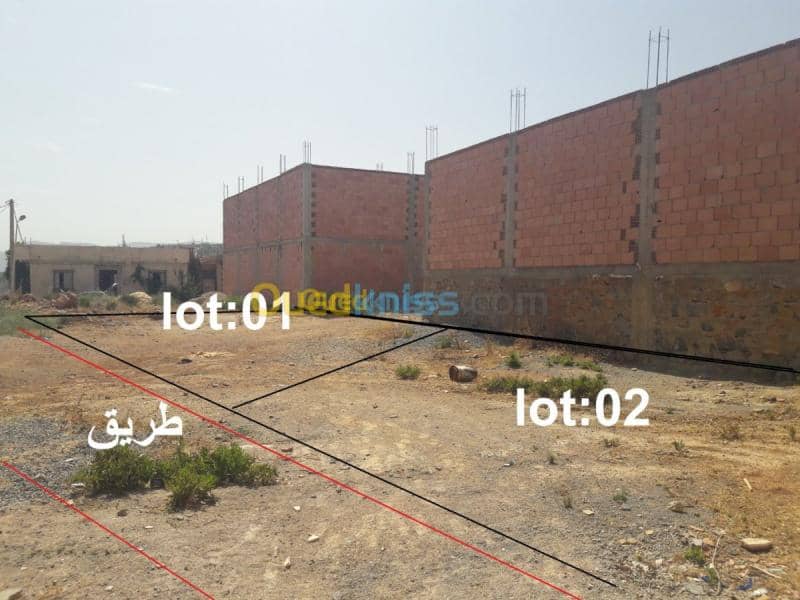 Vente Terrain Tlemcen Beni bahdel 2