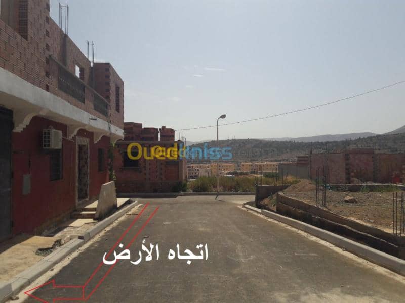 Vente Terrain Tlemcen Beni bahdel 3