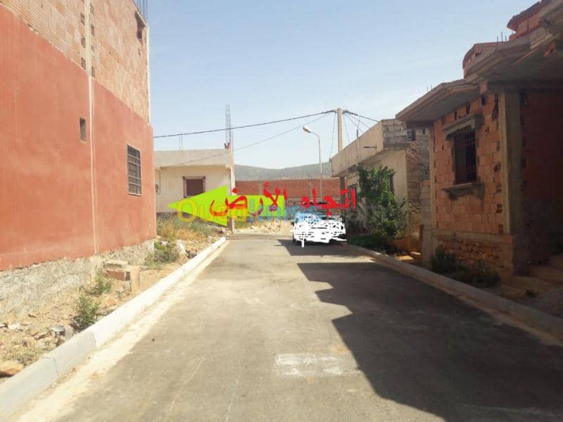 Vente Terrain Tlemcen Beni bahdel 4