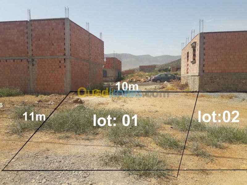 Vente Terrain Tlemcen Beni bahdel 5
