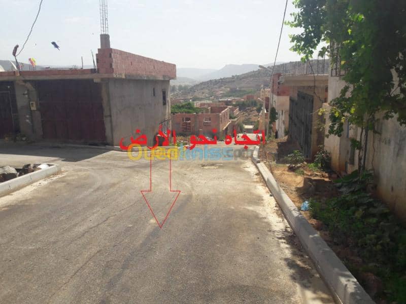 Vente Terrain Tlemcen Beni bahdel 6
