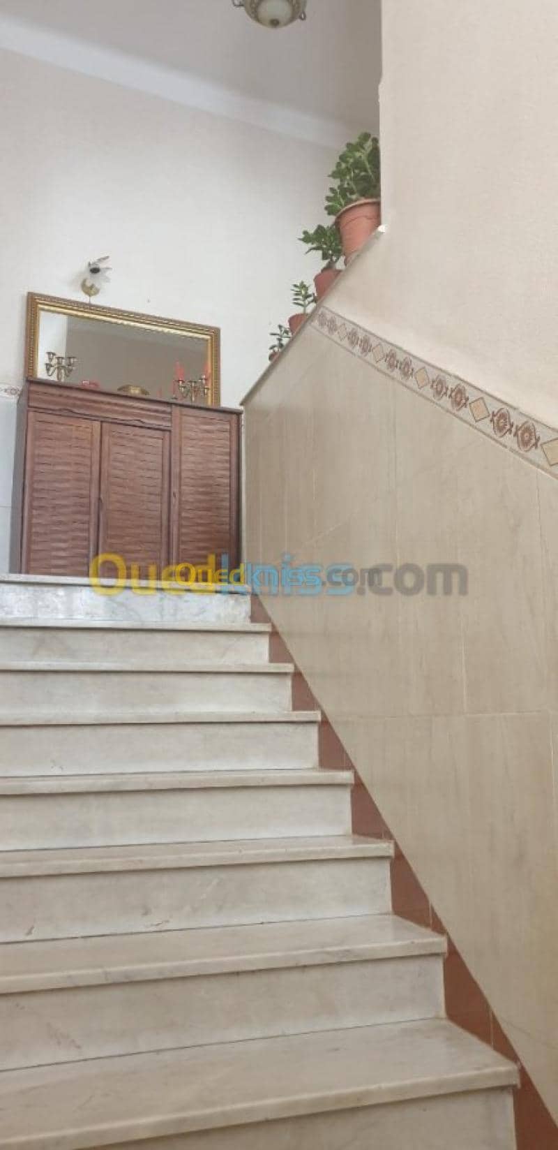 Vente Villa Alger Bab el oued 4
