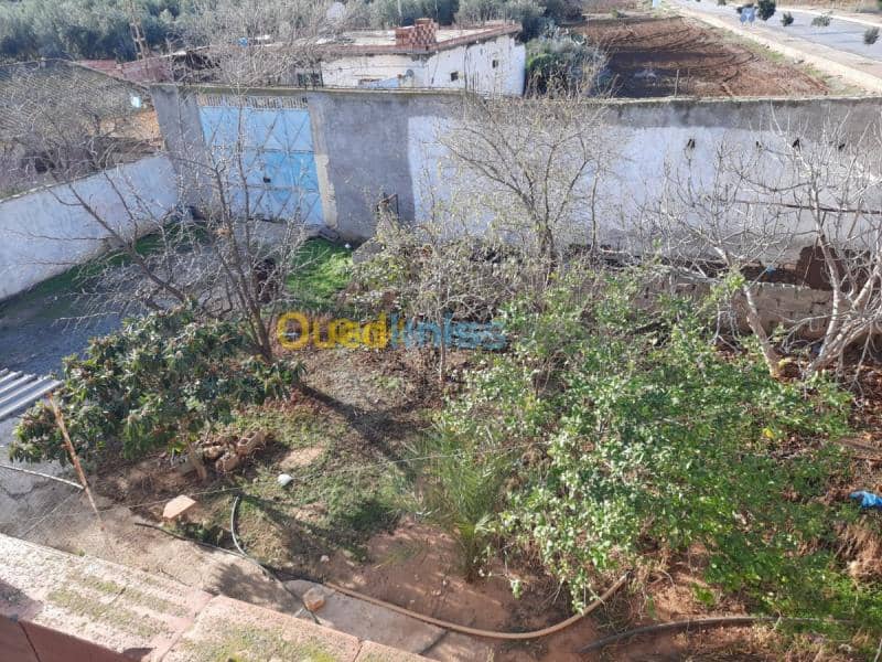 Vente bien immobilier Mascara Sig 9