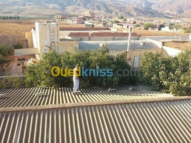 Vente bien immobilier Mascara Sig 3