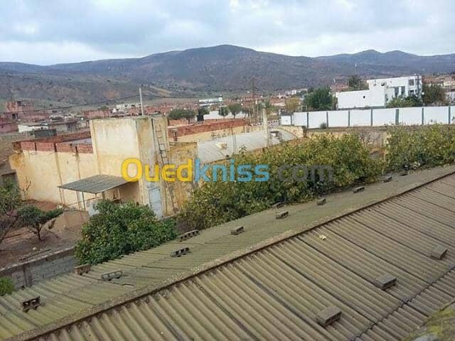 Vente bien immobilier Mascara Sig 4