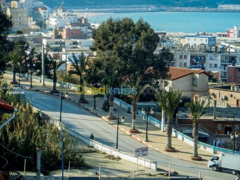 Location Local El taref El kala 4