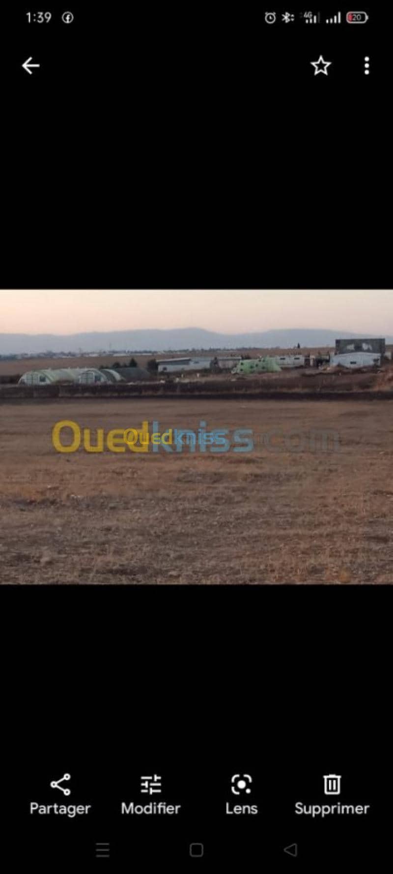 Vente Terrain Agricole Sidi Bel Abbès Sidi bel abbes 2