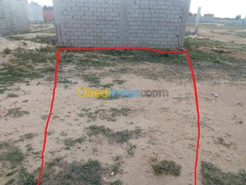 Vente Terrain Tebessa Bekkaria 2