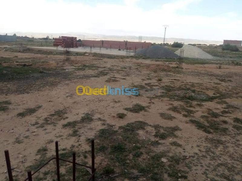 Vente Terrain Tebessa Bekkaria 3
