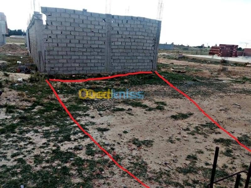 Vente Terrain Tebessa Bekkaria 4
