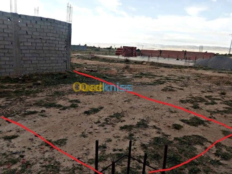 Vente Terrain Tebessa Bekkaria 5