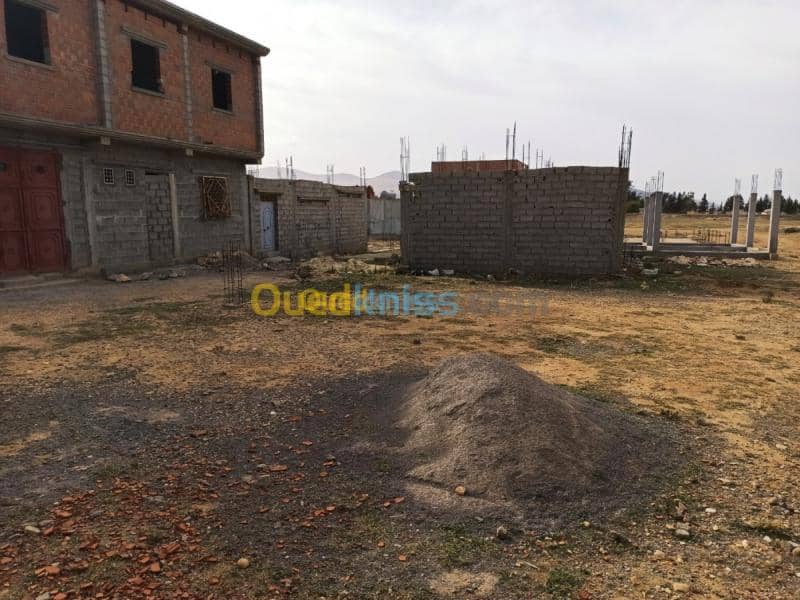 Vente Terrain Tebessa Bekkaria 8