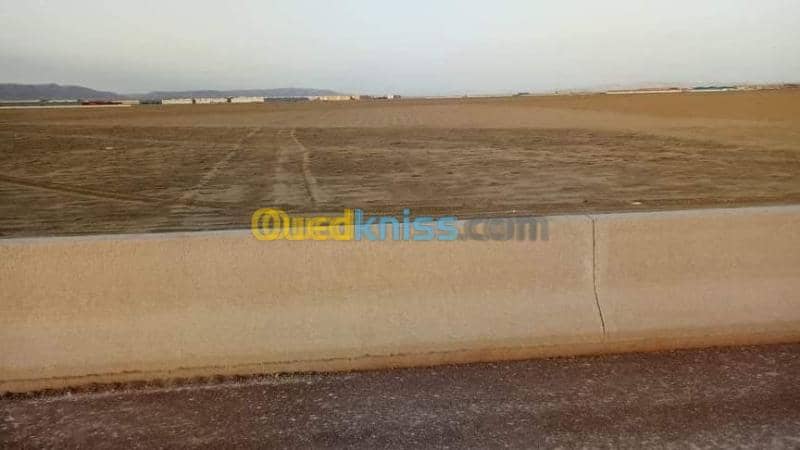 Vente Terrain Agricole Relizane Relizane