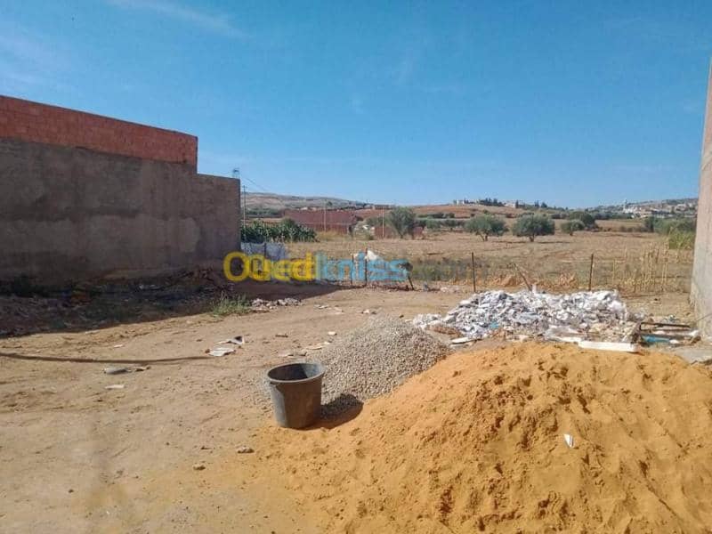 Vente Terrain Relizane Mazouna 2