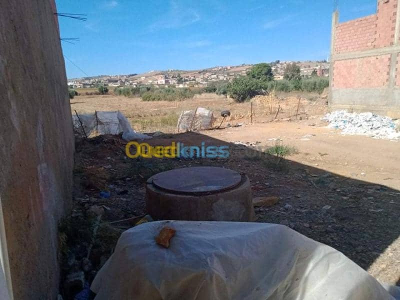 Vente Terrain Relizane Mazouna 3