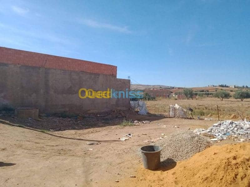 Vente Terrain Relizane Mazouna 4
