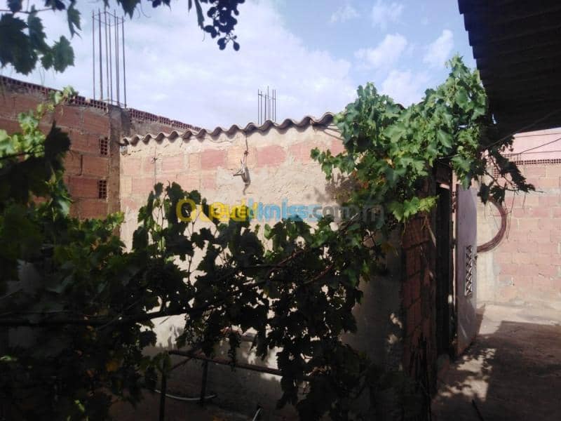 Vente Appartement Niveau de villa F3 Aïn Defla El abadia 8