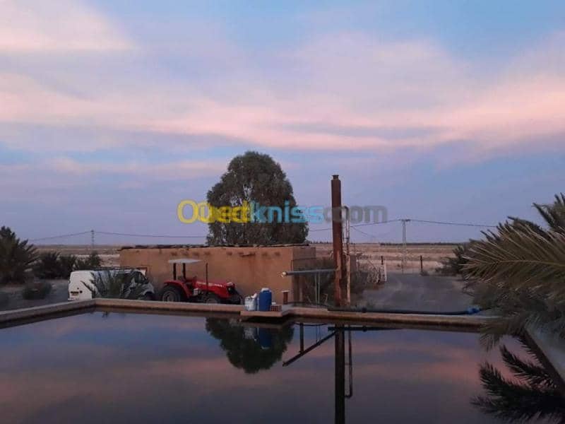 Vente Terrain Agricole Biskra Oumache 10