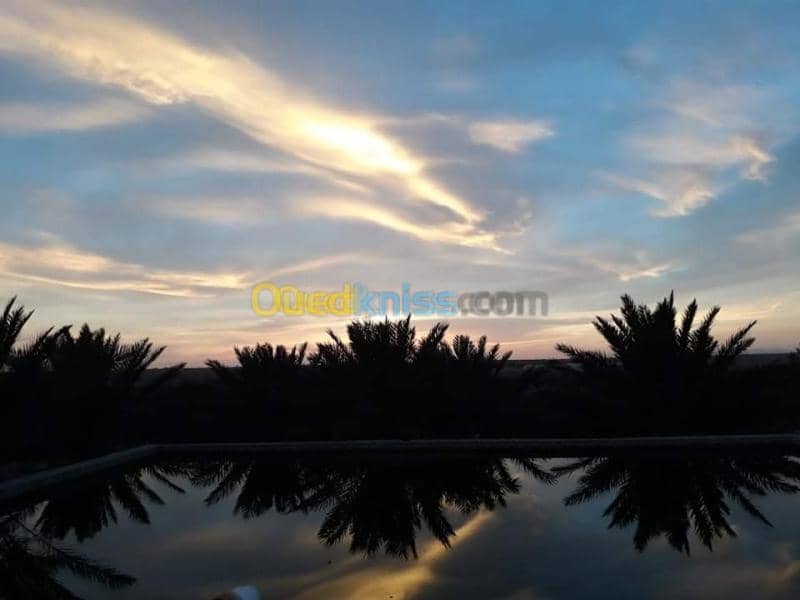 Vente Terrain Agricole Biskra Oumache 11