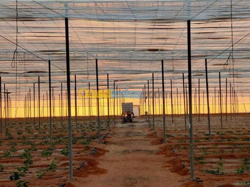 Vente Terrain Agricole Biskra Oumache 12