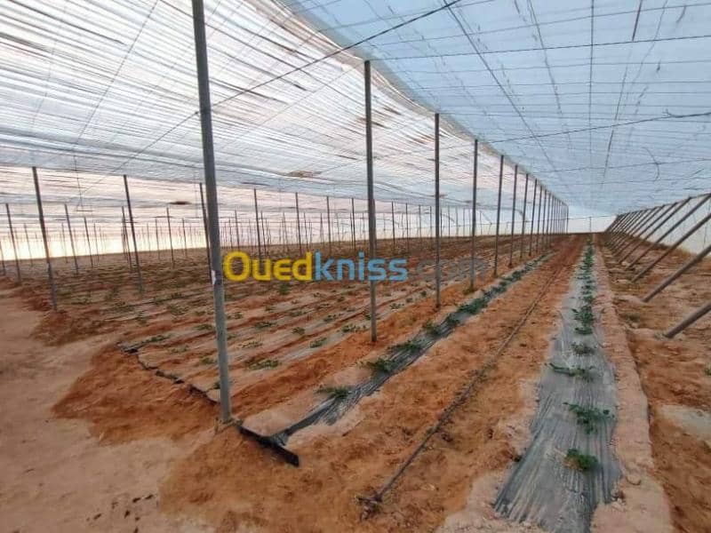 Vente Terrain Agricole Biskra Oumache 14