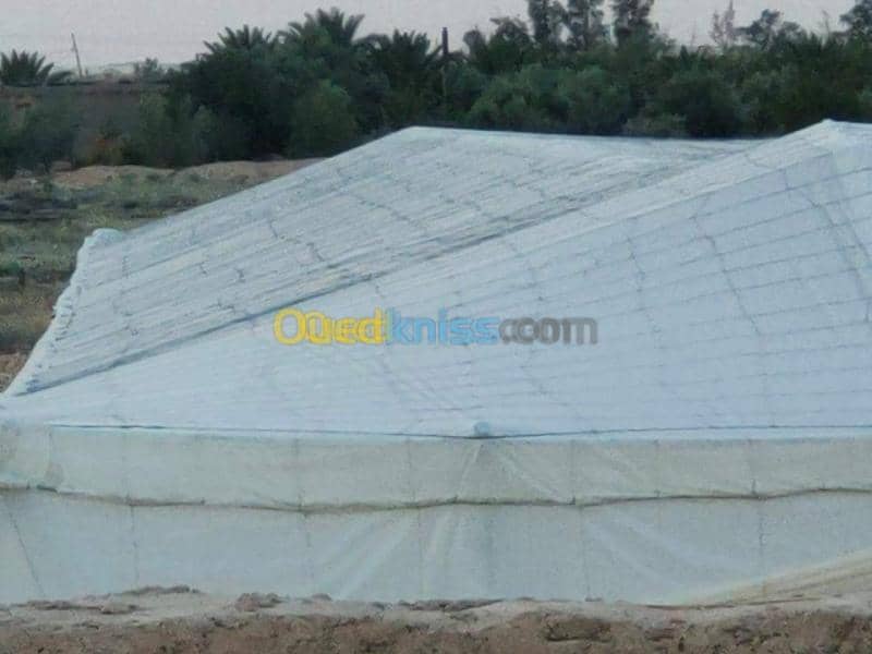 Vente Terrain Agricole Biskra Oumache 16