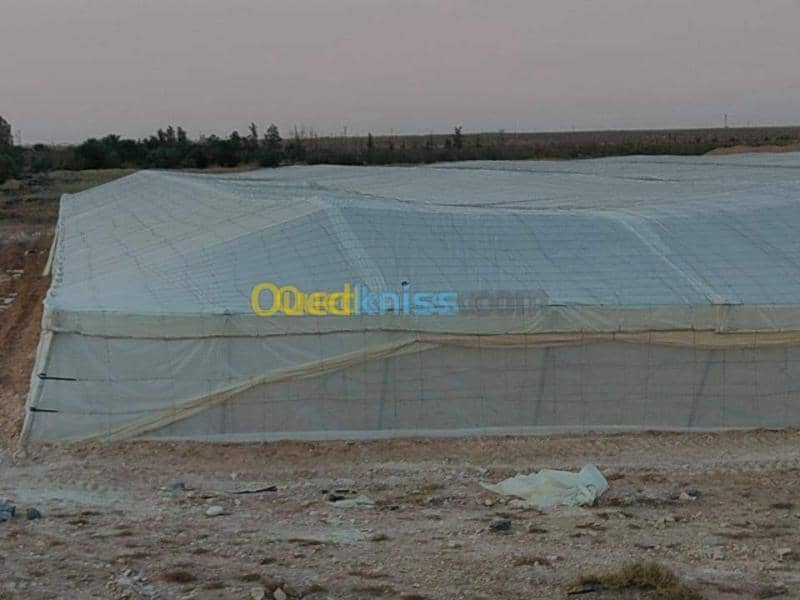 Vente Terrain Agricole Biskra Oumache 17