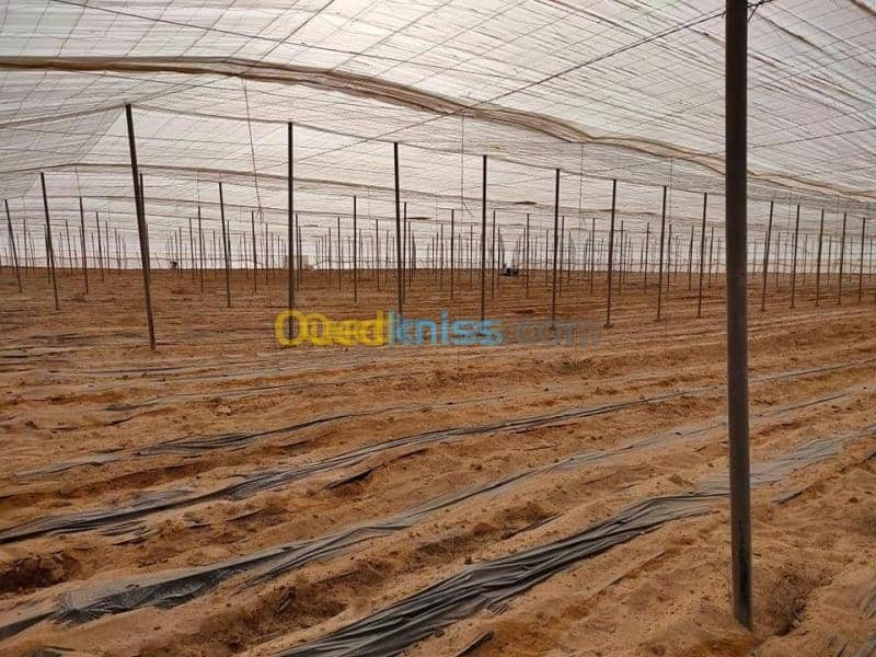 Vente Terrain Agricole Biskra Oumache 18