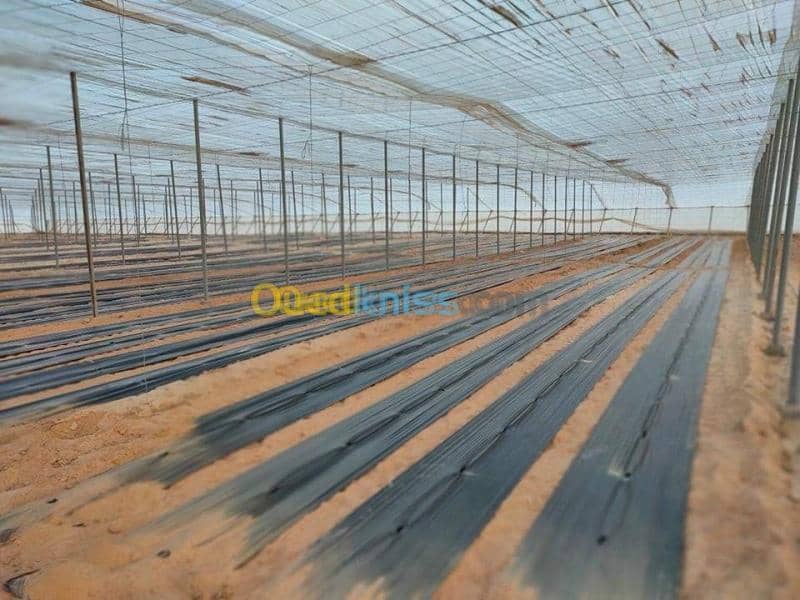 Vente Terrain Agricole Biskra Oumache 19