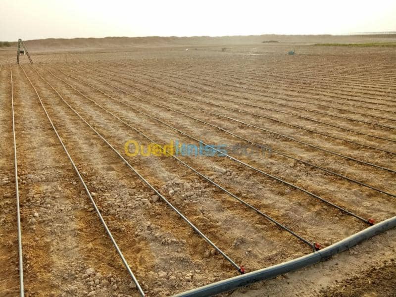 Vente Terrain Agricole Biskra Oumache 3