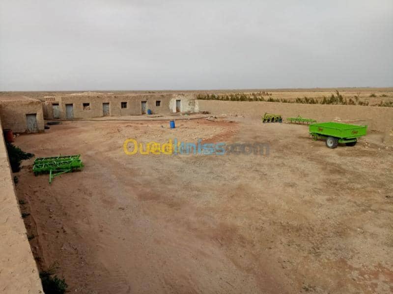 Vente Terrain Agricole Biskra Oumache 6