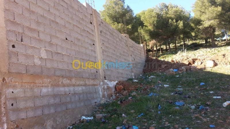Vente Carcasse Tlemcen Tlemcen 3
