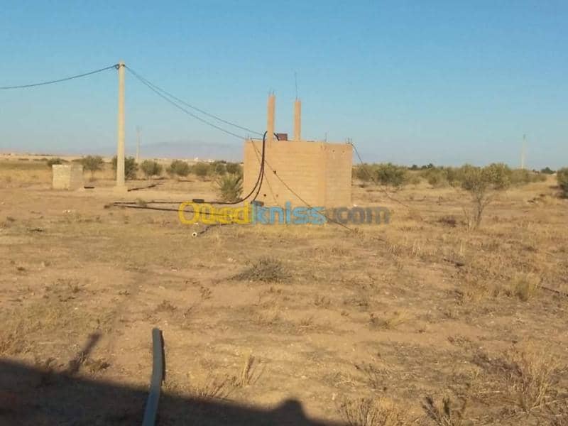 Vente Terrain Agricole Msila Zerarka