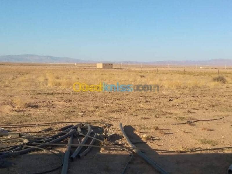Vente Terrain Agricole Msila Zerarka 2