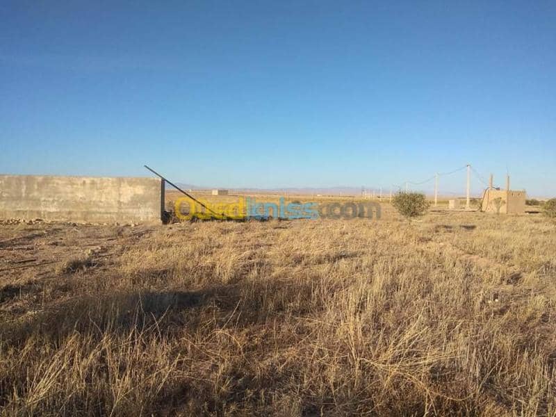Vente Terrain Agricole Msila Zerarka 3