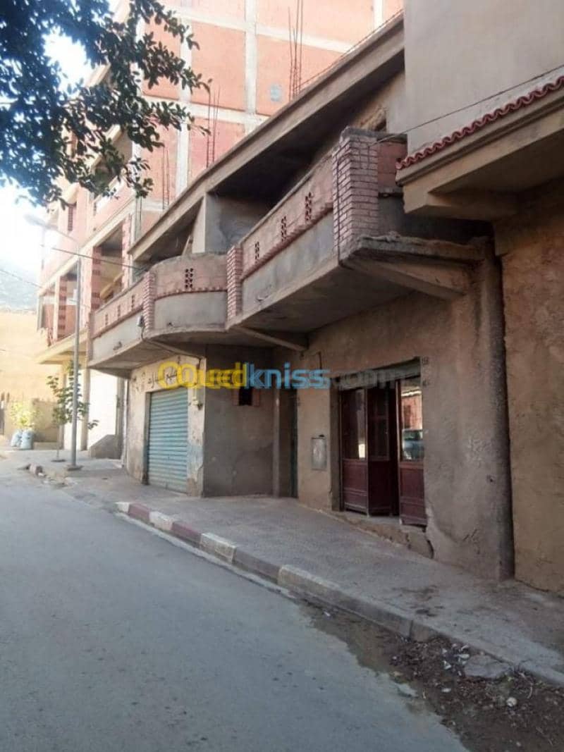 Vente Villa Ain defla Ain defla 2
