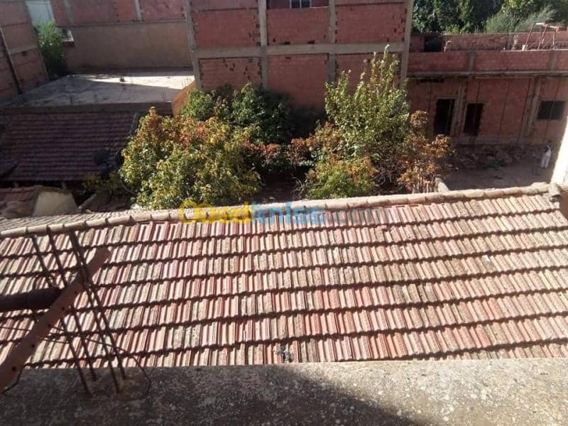 Vente Villa Ain defla Ain defla 7