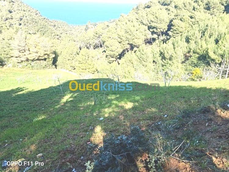 Vente Terrain Chlef Tenes 4