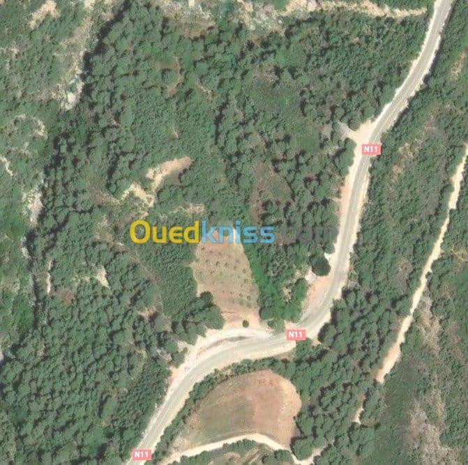 Vente Terrain Chlef Tenes 5