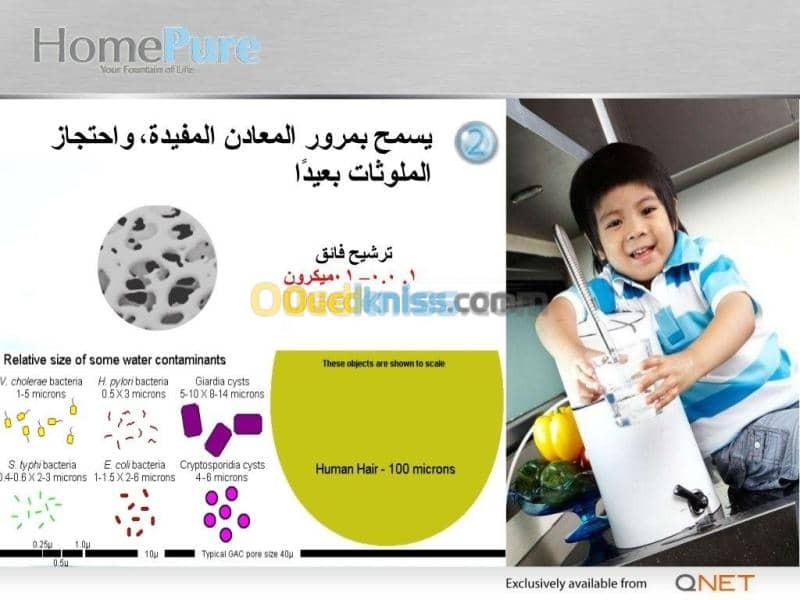 بلدية الشط ولاية الطارف 2