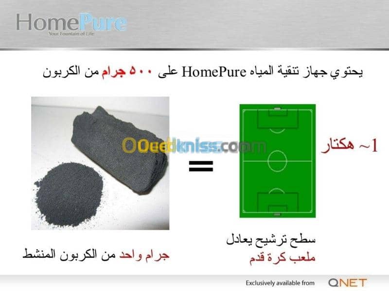 بلدية الشط ولاية الطارف 4