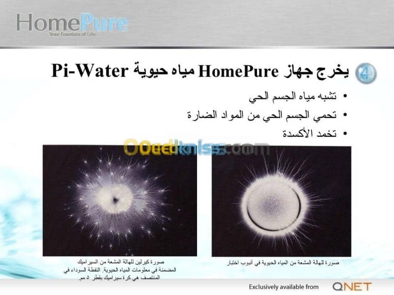 بلدية الشط ولاية الطارف 6