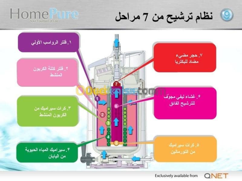 بلدية الشط ولاية الطارف 9