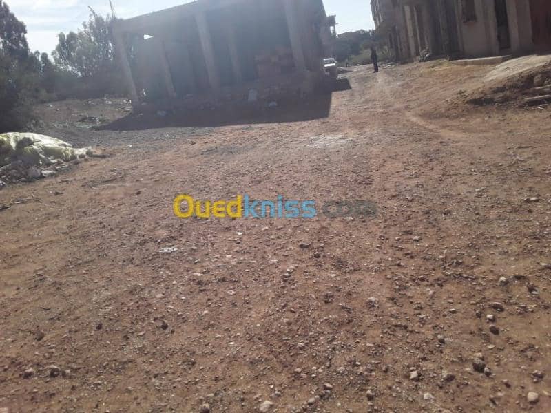 Vente Terrain Mostaganem Hassi maameche